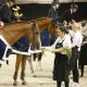 Jumping de Achterhoek