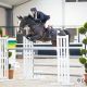Lars Kuster, Jumping de Achterhoek, Action Girl