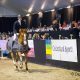 Simon Morssinkhof, Jumping de Achterhoek