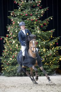 Irene van den Hof, Orchid's Sarine, Jumping de Achterhoek