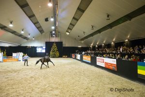 Gert van den Hof op Jumping de Achterhoek