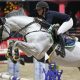 foto Wendy Scholten